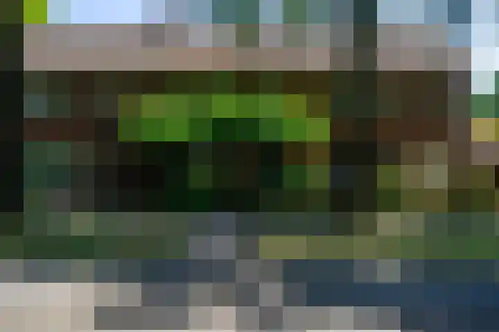 Nieuwe Uitleg 55 Bakel thumbnail 35
