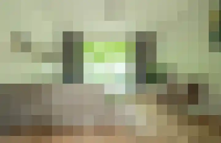Nieuwe Uitleg 55 Bakel thumbnail 5