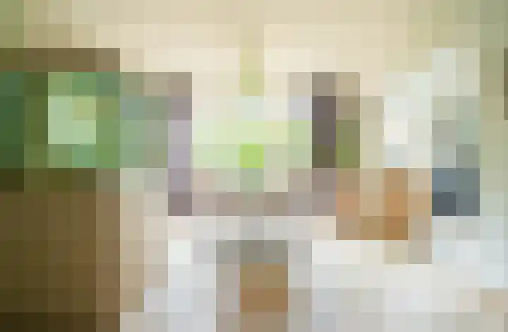 Nieuwe Uitleg 55 Bakel thumbnail 6