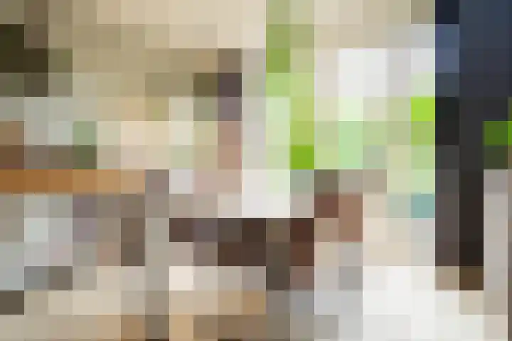 Nieuwe Uitleg 55 Bakel thumbnail 7