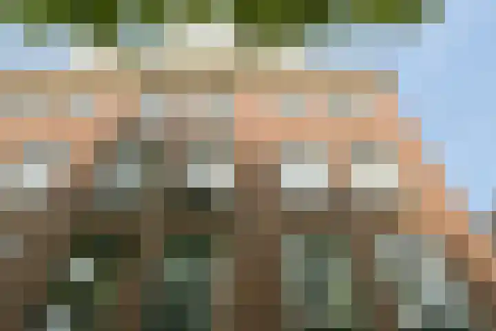 Nieuwe Uitleg 6 B Den Haag thumbnail 10
