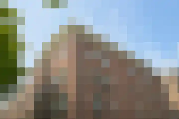 Nieuwe Uitleg 6 B Den Haag thumbnail 11