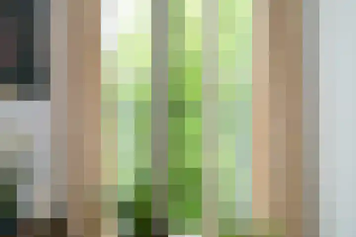 Nieuwe Uitleg 6 B Den Haag thumbnail 16