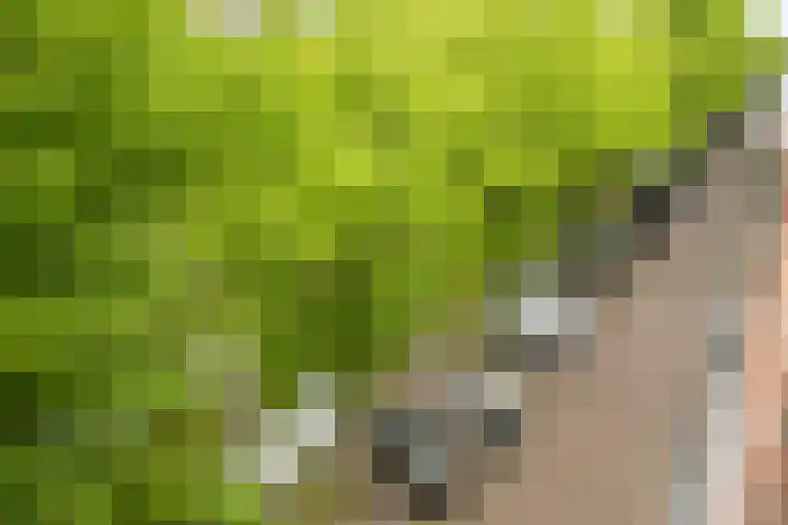 Nieuwe Uitleg 6 B Den Haag thumbnail 17