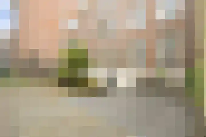 Nieuwe Uitleg 6 B Den Haag thumbnail 29