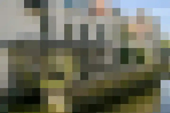 Nieuwe Uitleg 6 B Den Haag thumbnail 31