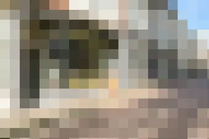 Nieuwe Uitleg 6 B Den Haag thumbnail 32