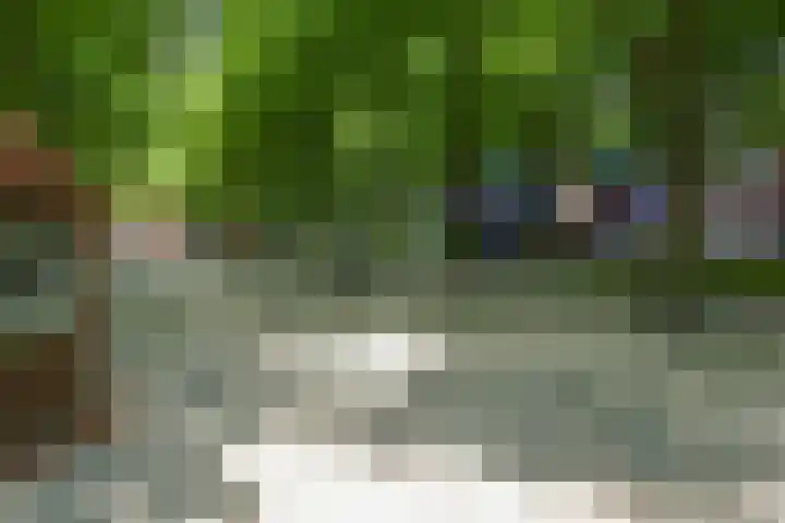 Nieuwe Uitleg 6 B Den Haag thumbnail 37