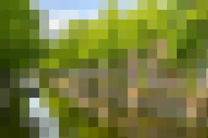Nieuwe Uitleg 6 B Den Haag thumbnail 5