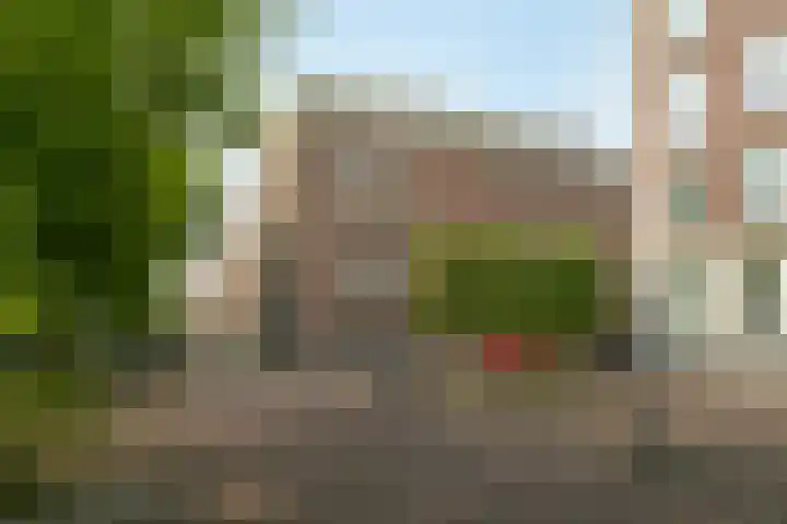Nieuwe Uitleg 6 B Den Haag thumbnail 6