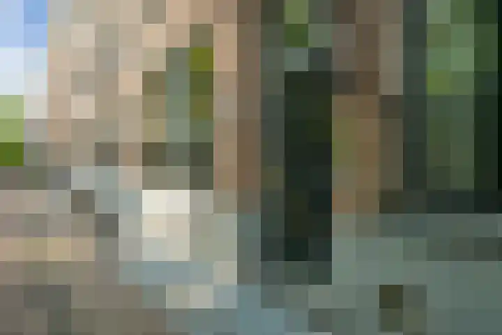 Nieuwe Uitleg 6 B Den Haag thumbnail 8