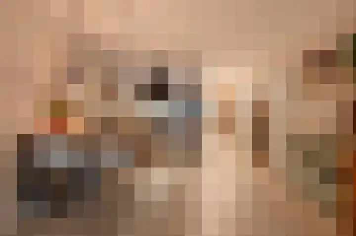 Nieuwe Uitleg 6 G Den Haag thumbnail 14