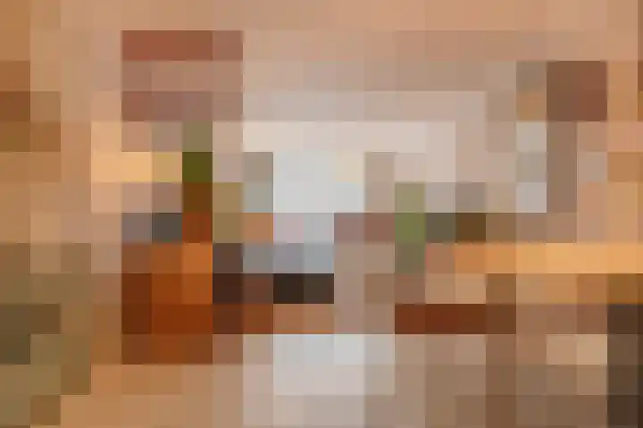 Nieuwe Uitleg 6 G Den Haag thumbnail 15