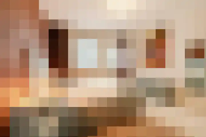 Nieuwe Uitleg 6 G Den Haag thumbnail 27