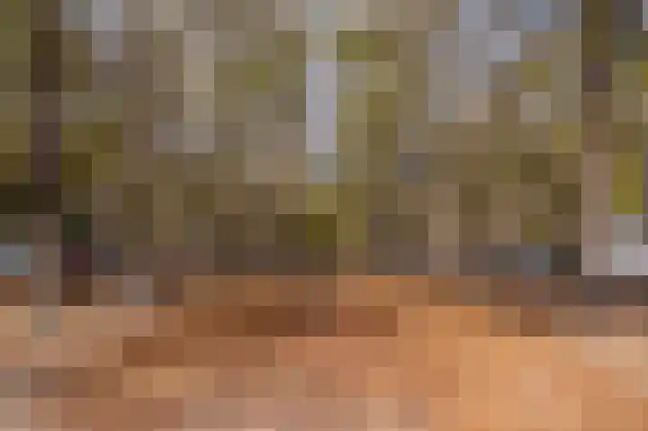 Nieuwe Uitleg 6 G Den Haag thumbnail 37