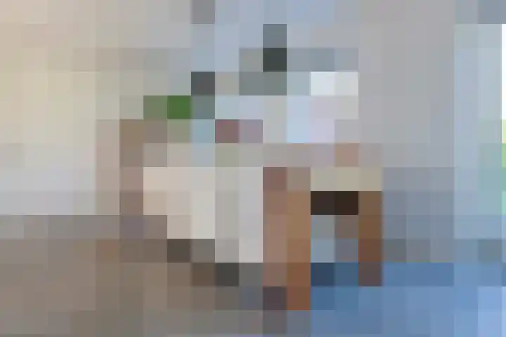 Nieuwe Vaart 11 Alkmaar thumbnail 10