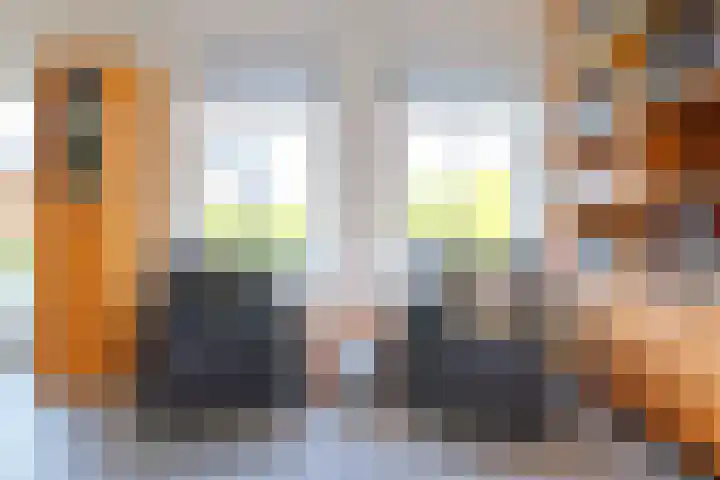 Nieuwe Vaart 11 Alkmaar thumbnail 13