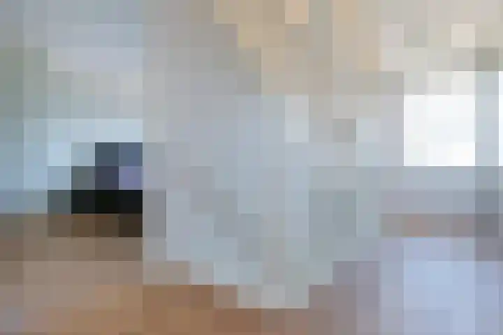 Nieuwe Vaart 11 Alkmaar thumbnail 21