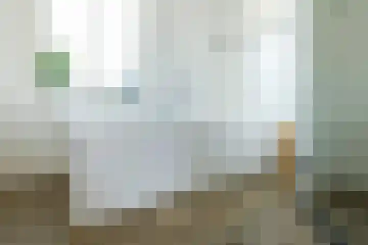 Nieuwe Vaart 11 Alkmaar thumbnail 32