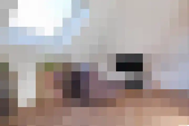 Nieuwe Vaart 11 Alkmaar thumbnail 36