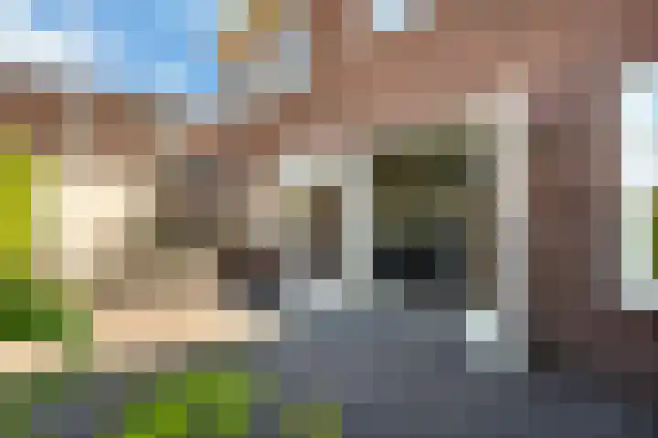 Nieuwe Vaart 11 Alkmaar thumbnail 39