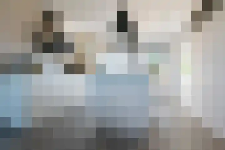 Nieuwe Vaart 11 Alkmaar thumbnail 4