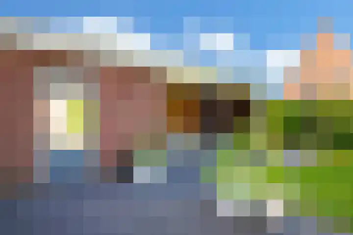 Nieuwe Vaart 11 Alkmaar thumbnail 40