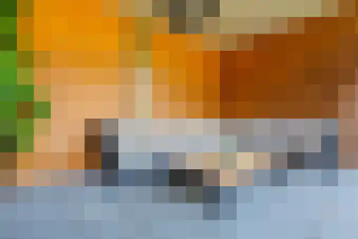 Nieuwe Vaart 11 Alkmaar thumbnail 41