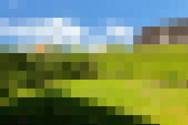 Nieuwe Vaart 11 Alkmaar thumbnail 44