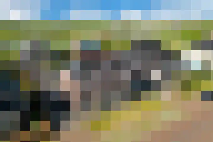 Nieuwe Vaart 11 Alkmaar thumbnail 47