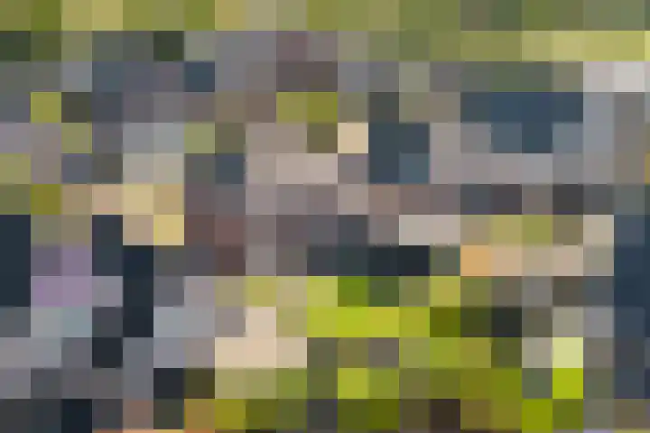 Nieuwe Vaart 11 Alkmaar thumbnail 50