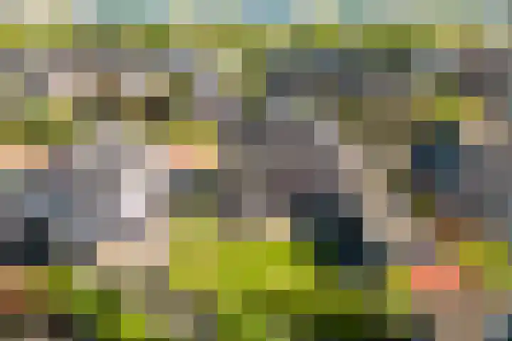 Nieuwe Vaart 11 Alkmaar thumbnail 51
