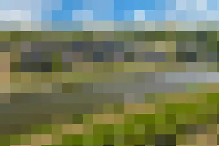 Nieuwe Vaart 11 Alkmaar thumbnail 52