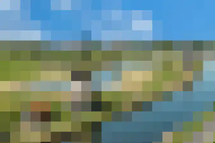 Nieuwe Vaart 11 Alkmaar thumbnail 54