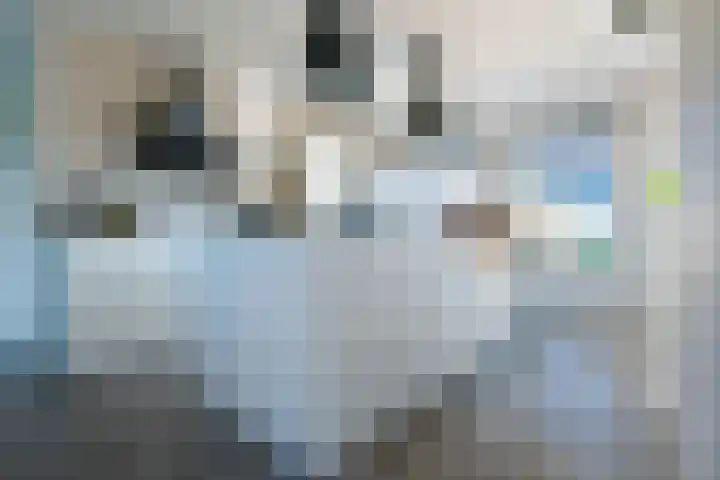 Nieuwe Vaart 11 Alkmaar thumbnail 8