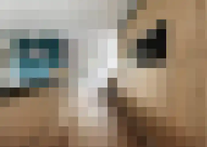 Nieuwe Vaart 13 Alkmaar thumbnail 12