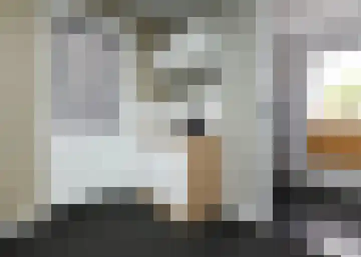 Nieuwe Vaart 13 Alkmaar thumbnail 17