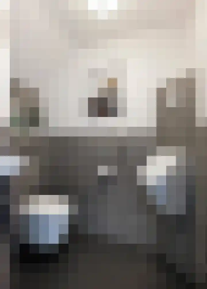 Nieuwe Vaart 13 Alkmaar thumbnail 20