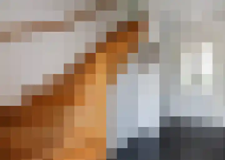 Nieuwe Vaart 13 Alkmaar thumbnail 21