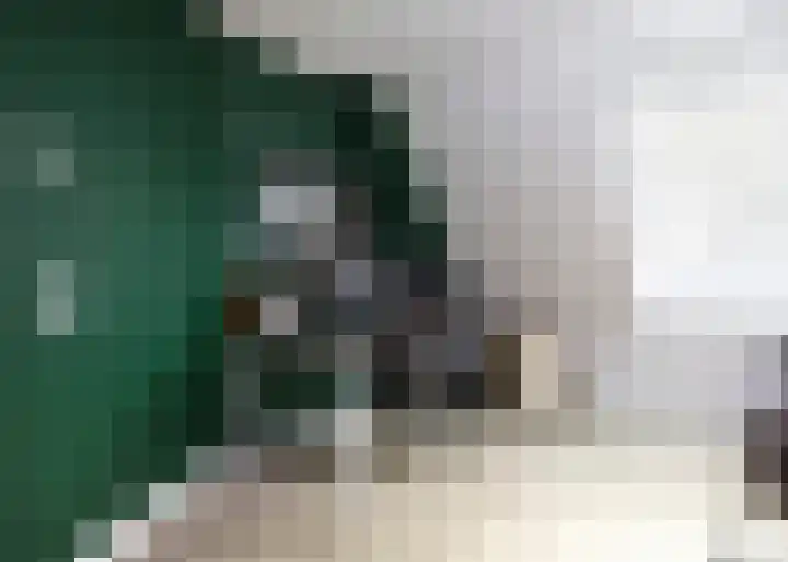 Nieuwe Vaart 13 Alkmaar thumbnail 32