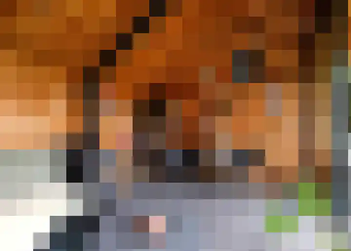Nieuwe Vaart 13 Alkmaar thumbnail 44