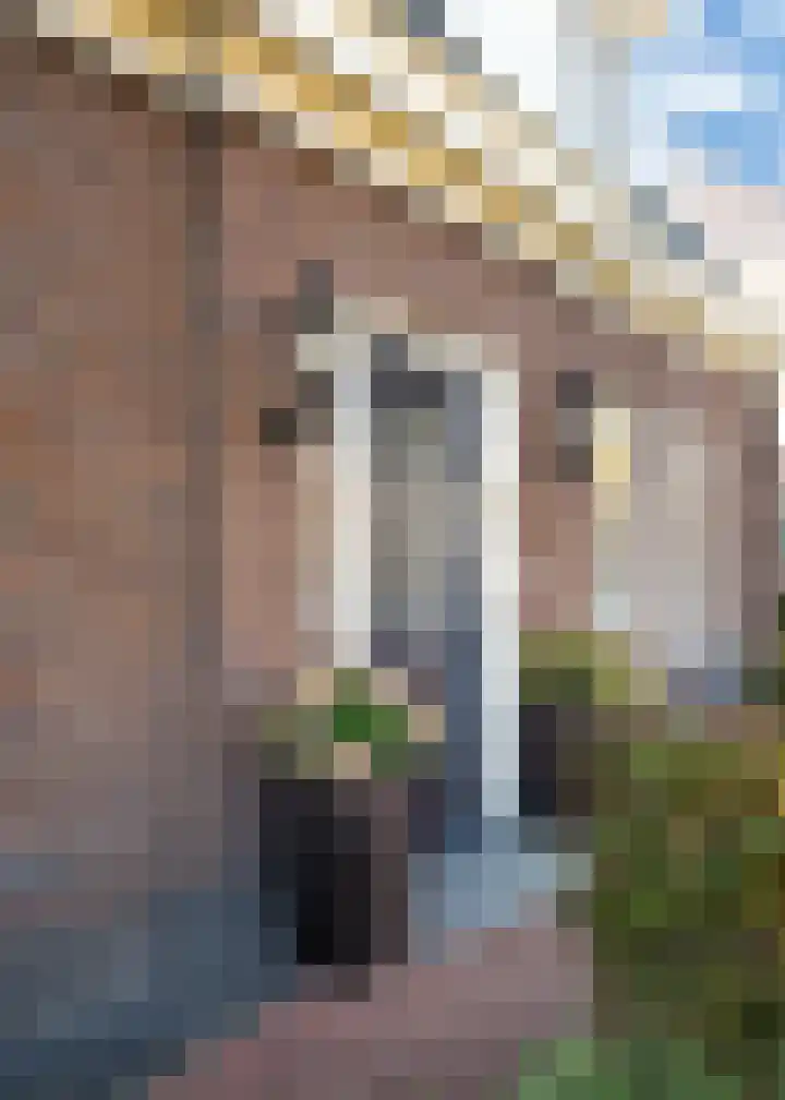 Nieuwe Vaart 13 Alkmaar thumbnail 47