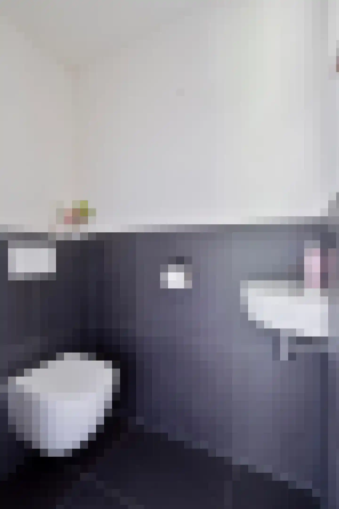 Nieuwe Vaart 20 Appelscha thumbnail 14