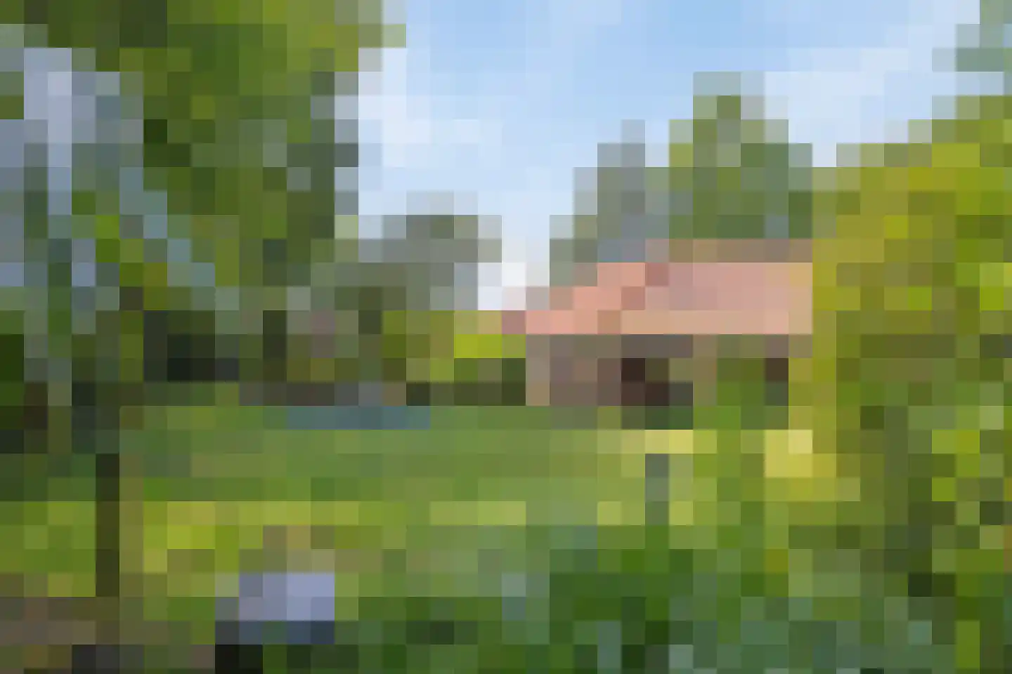 Nieuwe Vaart 20 Appelscha foto 2