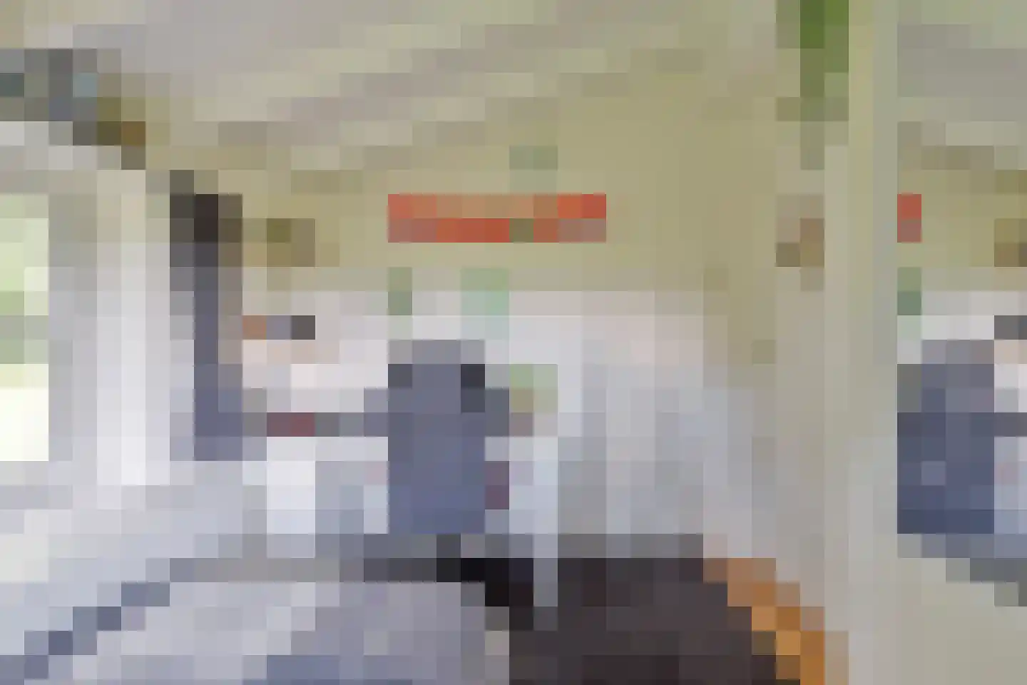 Nieuwe Vaart 20 Appelscha thumbnail 21