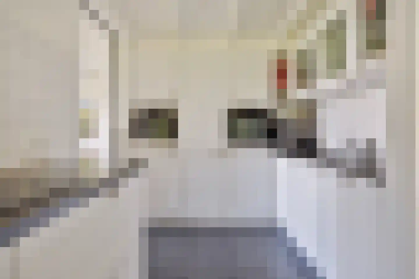 Nieuwe Vaart 20 Appelscha thumbnail 26
