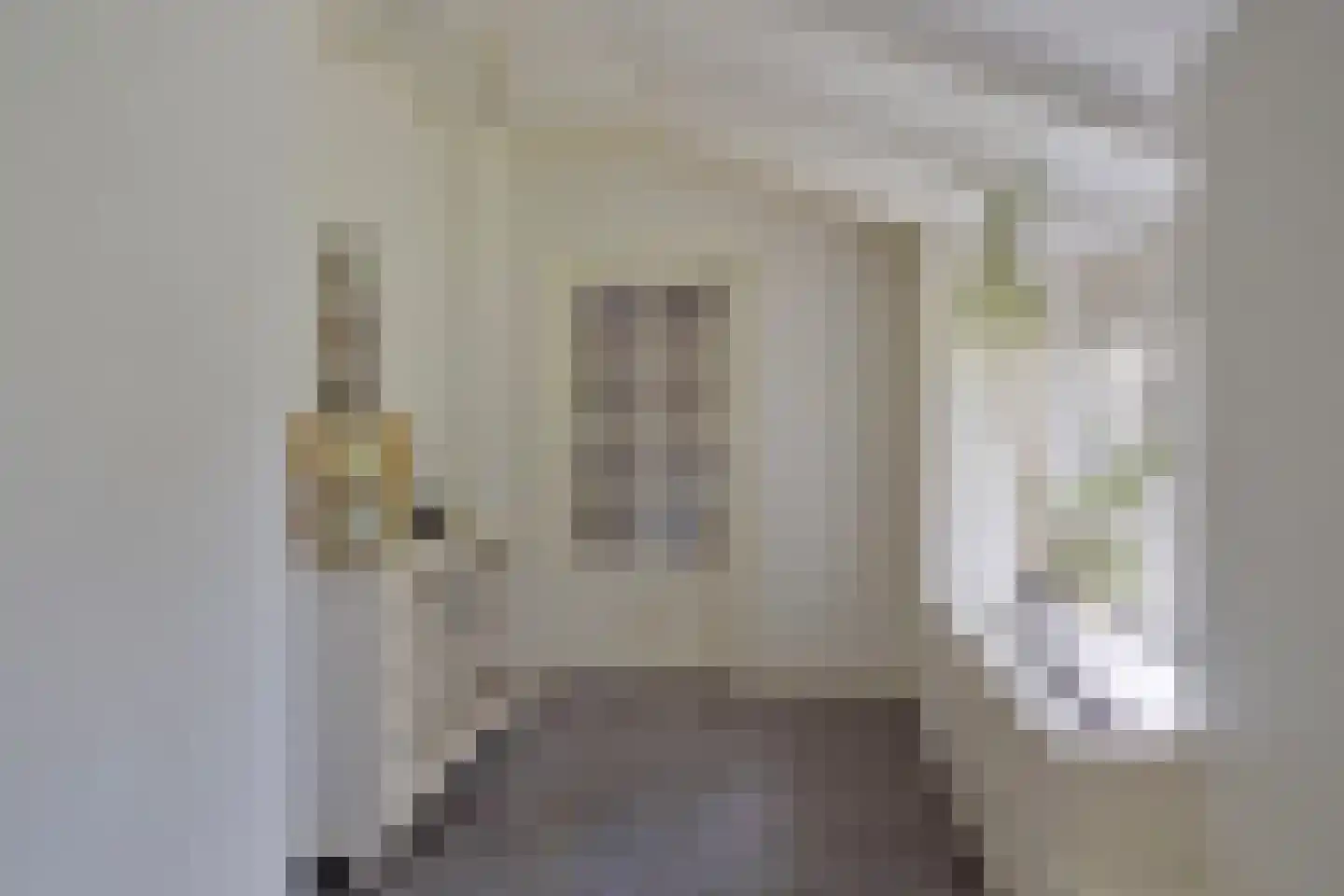 Nieuwe Vaart 20 Appelscha thumbnail 27