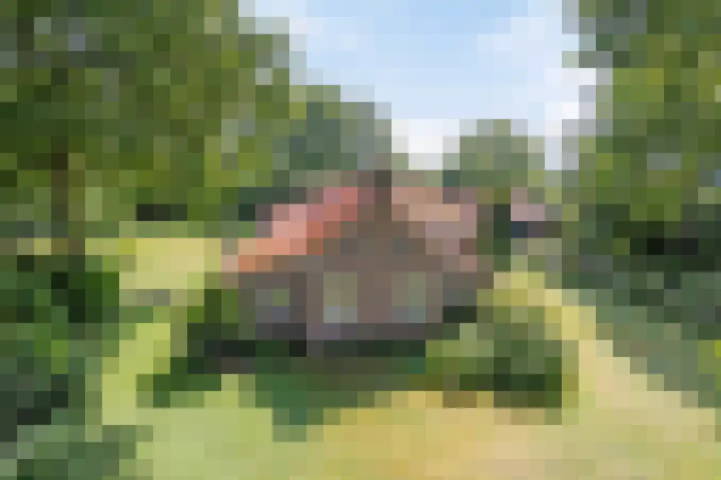 Nieuwe Vaart 20 Appelscha foto 3