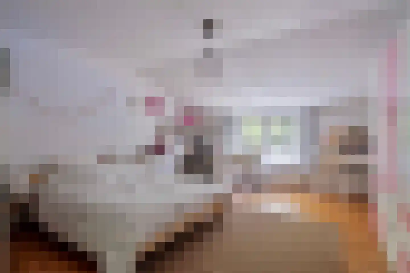 Nieuwe Vaart 20 Appelscha thumbnail 31