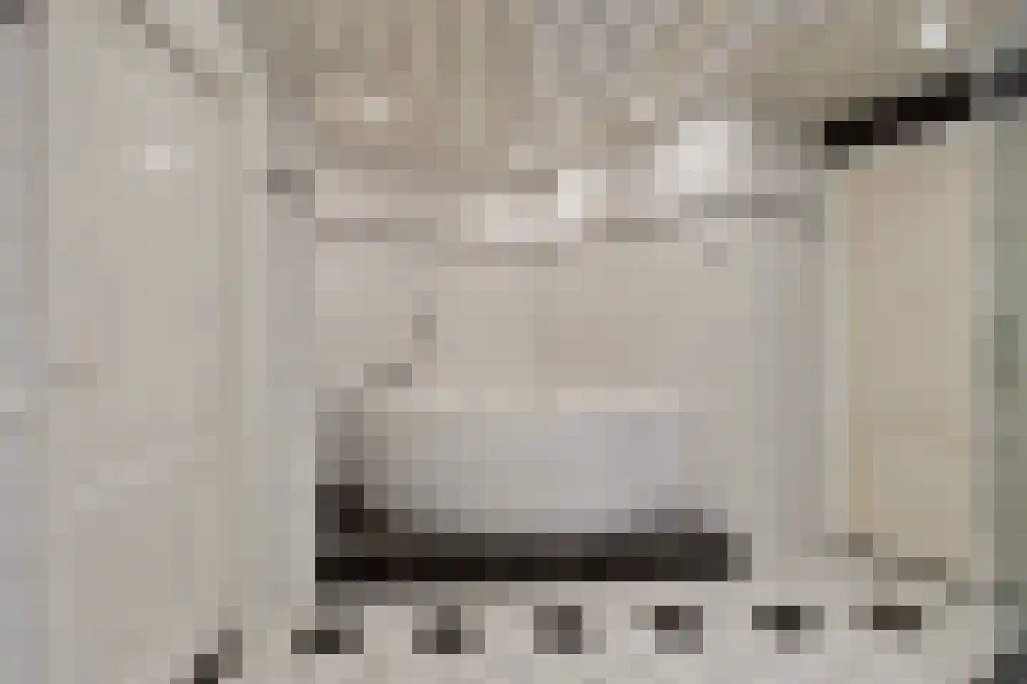 Nieuwe Vaart 20 Appelscha thumbnail 37